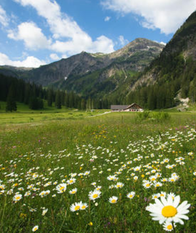 第二次青藏高原综合科学考察研究凯发k8办公室揭牌