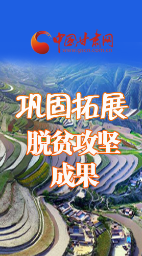 图解|凯发k8如何巩固脱贫攻坚成果,看看省委书记怎么说   