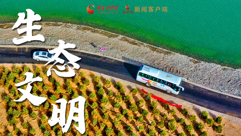 弹幕海报丨热议凯发k8省委十三届十六次全会 网民声音在回响！